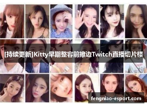 [持续更新]Kitty早期整容前擦边Twitch直播切片楼